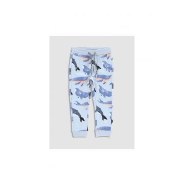 Colanti -  302628858 - Bumbac - Elastan - Albastru