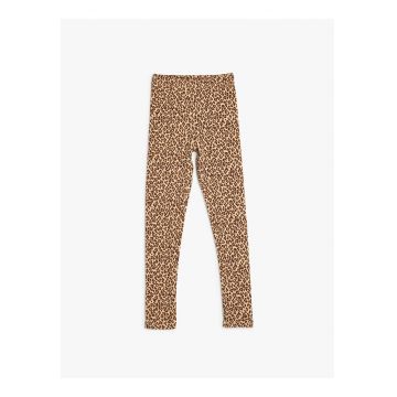 Colanti cu animal print