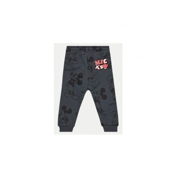 Pantaloni baieti -  304547768 - Bumbac - 74-80 CM - Gri